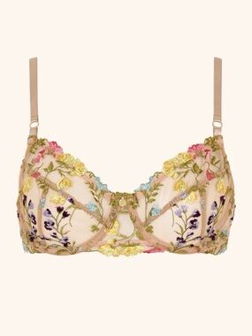 Gooseberry Intimates Wildflower Sheer Embroidered Floral Balconette Bra in Nude